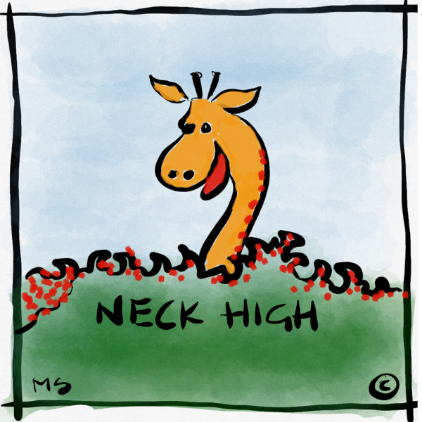 NECK HIGH